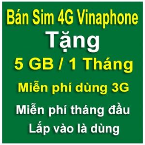sim 4g vinaphone 5gb