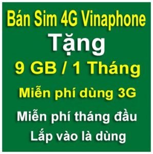 sim 4g vinaphone 9gb