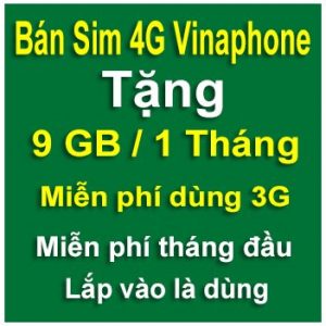 sim 4g vinaphone 9gb