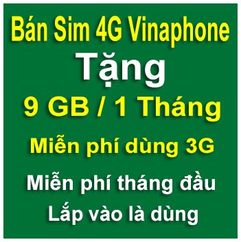 sim 4g vinaphone 9gb