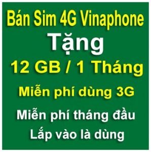 sim 4g vinaphone 12gb