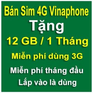 sim 4g vinaphone 12gb