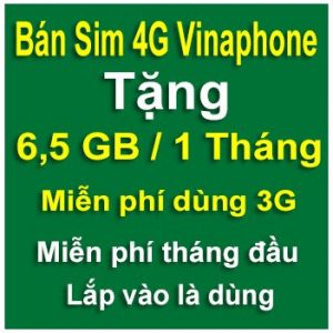 sim 4g vinaphone 6,5gb