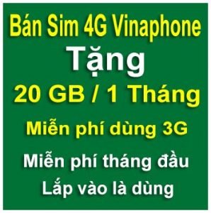 sim 4g vinaphone 20gb