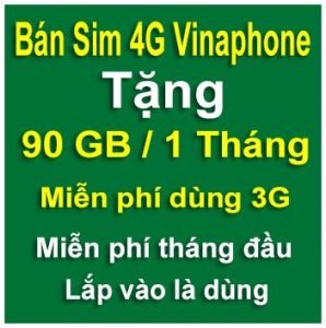 sim 4g vinaphone 90gb