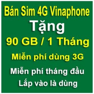 sim 4g vinaphone 90gb