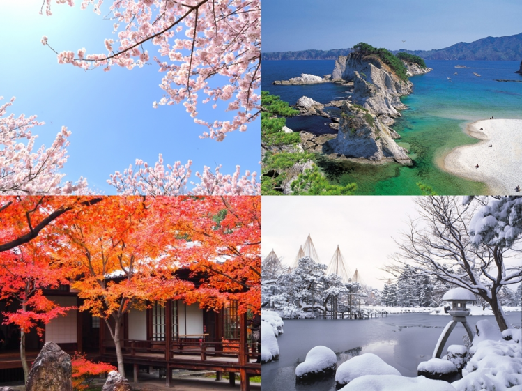đi du lịch Nhật Bản mùa nào là đẹp