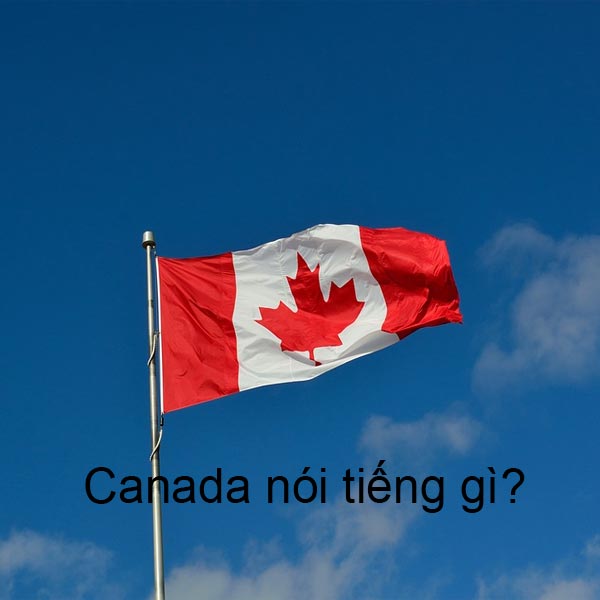 Canada Nói Tiếng Gì? Các Đặc Sản Nổi Tiếng Nhất Ở Canada