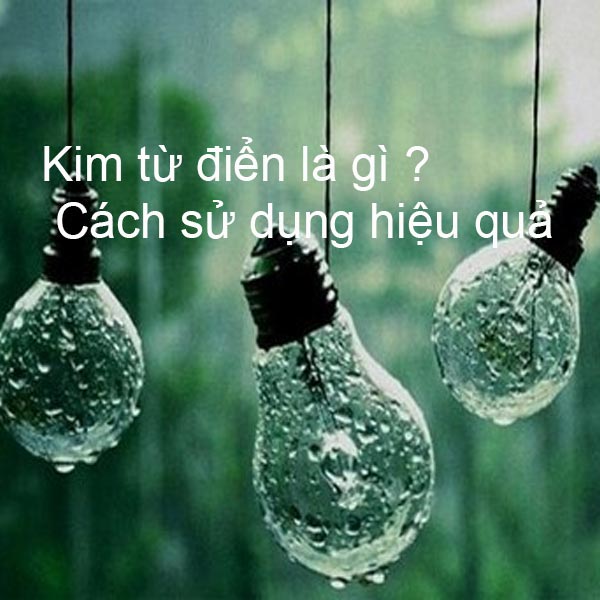 Kim Từ Điển Là Gì ? Cách Sử Dụng Kim Từ Điển Hiệu Quả Nhất