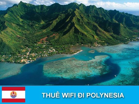 thuê wifi đi polynesia