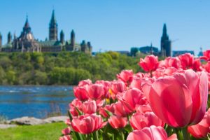 Khí hậu ở Canada như thế nào? Khí hậu ở Canada như thế nào?