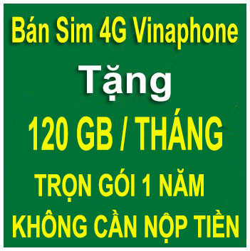 Sim 4G Vinaphone 120GB/Tháng (VD149) Trọn Gói 1 Năm Không Phải Nộp Tiền
