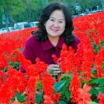 Thanh Xuan