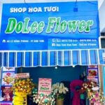 DoLee Flower