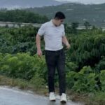 Võ Hoàng Triệu
