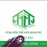 Cường Nguyễn