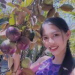 Yến Nhạn