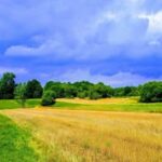 Nghiem Le