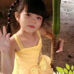 Lam Ngo Van