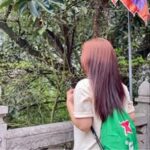Ánh Dương