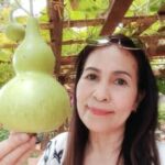 Lê Hội