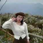 Thuỳ Amy