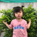 Phạm T. Hoa